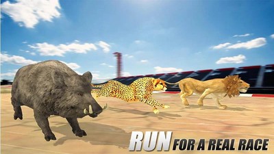 野生动物赛跑3