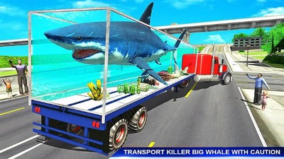 海洋动物运输车0