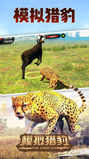 模拟猎豹截图3