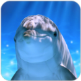 水龙头海豚