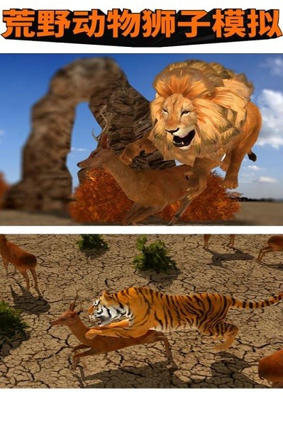 荒野动物狮子模拟2
