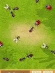 蚂蚁生命战争生存模拟器截图2