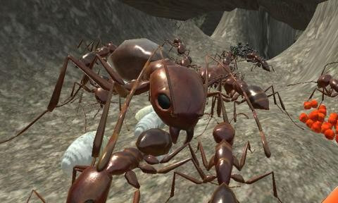 蚂蚁生存模拟器截图1