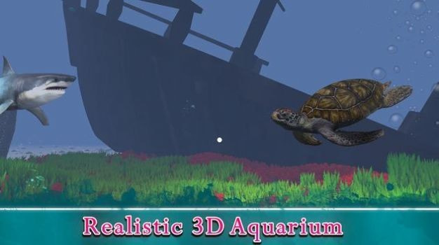 VR海洋水族馆3D截图1