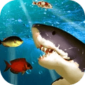 饥饿鲨鱼2021游戏下载