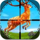 野生鹿猎人动物狩猎