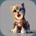 真实小猫3D模拟最新版本客户端正版