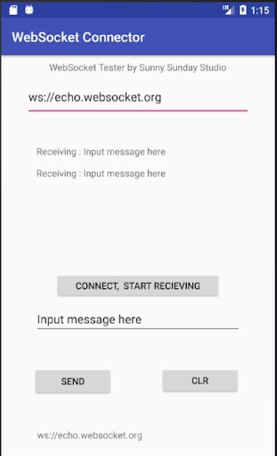 Websocket Tester(测试软件)