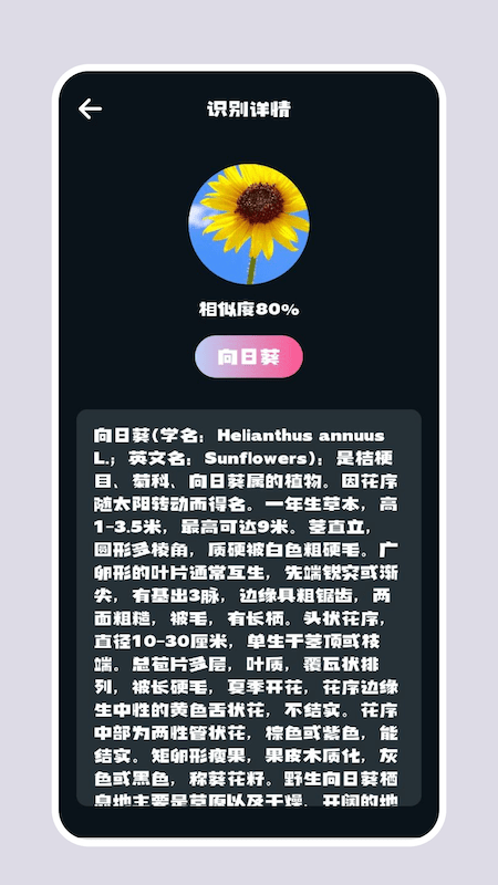 识别花