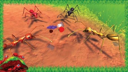 火蚁昆虫模拟Ant Insect World Sim