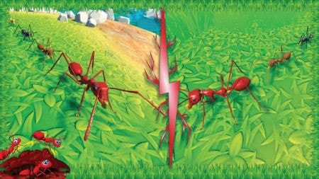 火蚁昆虫模拟Ant Insect World Sim