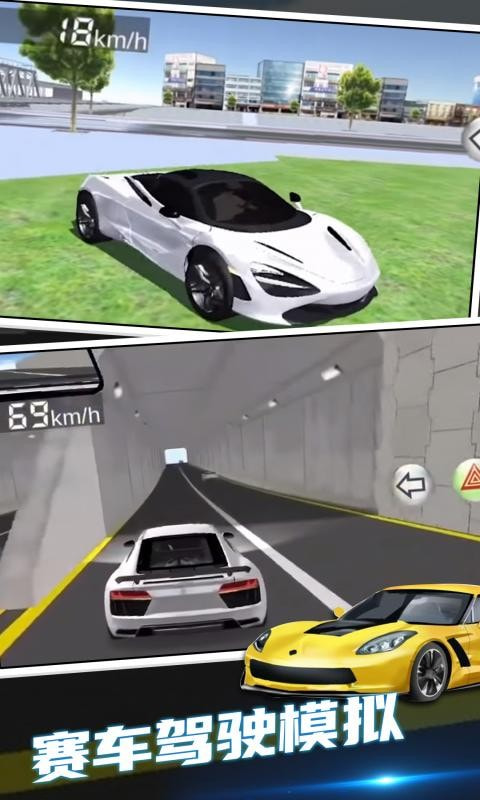 赛车驾驶模拟器正版1