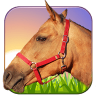 Ride Horse 3D