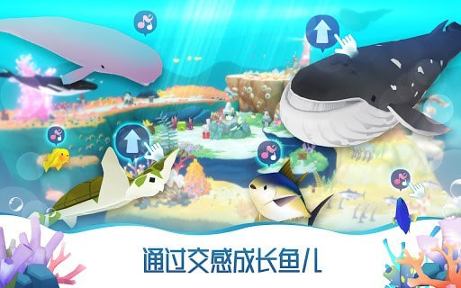 蓝鲸日记放置水族馆(HELLO WHALE)