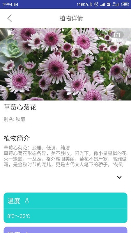 森林甜心app下载