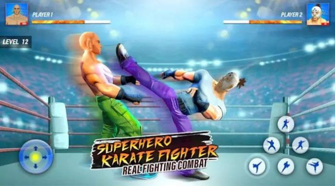 超级英雄空手道战士(Superhero Karaty Fighter)