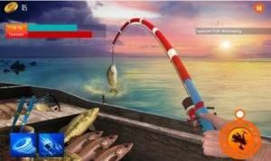 钓鱼狂热(Ultimate Fishing Mania: Hook Fish Catching Games)