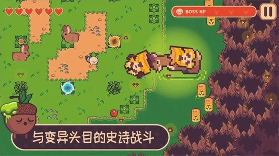 逃税小萝卜(2)