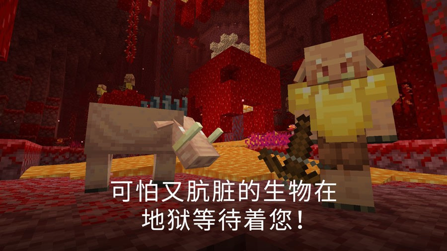 Minecraft我的世界基岩版测试服