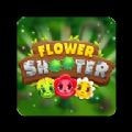花朵射手Flower Shooterapk下载手机版
