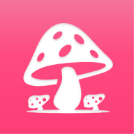 蘑菇赏安装下载免费正版