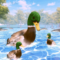 鸭子家庭生活模拟器3D去广告