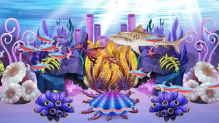 鱼乐园闲置水族馆Fish Paradise