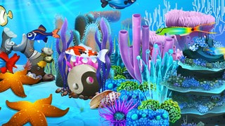 鱼乐园闲置水族馆Fish Paradise