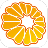 橙意健康下载安卓最新版