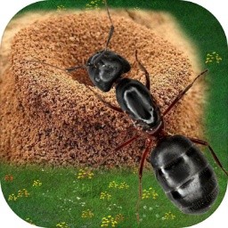 蚂蚁地下蚁国手游最新软件下载