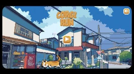 柯基奔跑Corgi Run