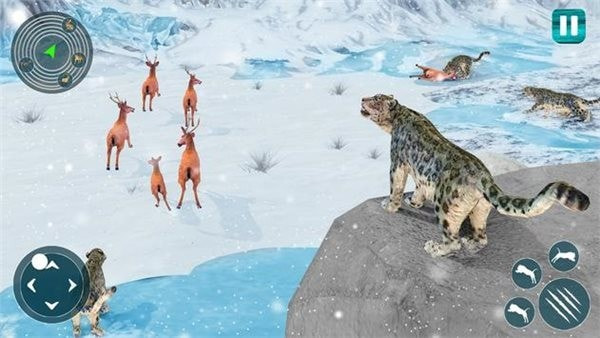 野生雪豹模拟器Snow Leopard2