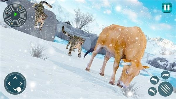 野生雪豹模拟器Snow Leopard截图2