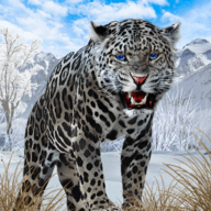 野生雪豹模拟器Snow游戏图标
