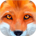 狐狸模拟器Fox