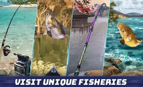 fishingclash