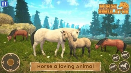 骑马世界模拟器Horse Simulator完整版下载2