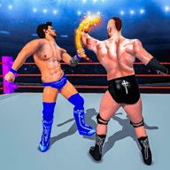 ˤ3D(Ring combat: Wrestling Game 3D)app׿