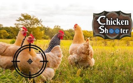 猎鸡挑战Chicken Hunting