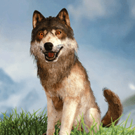 野狼模拟器3DWild Wolf Simulator 3D安卓游戏免费下载