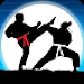 空手道战士真正的格斗Karate Fighter免费版手游下载