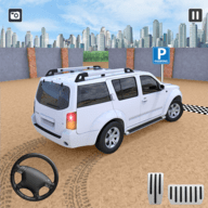 高级疯狂停车场(Advance Crazy Dr ParkingReal Parker 2020)安卓手机游戏app