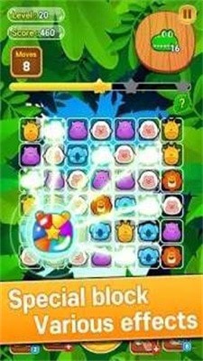 野生动物园拼图Safari Match Puzzle