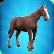 我的马模拟器My Horse Simulator免费最新版