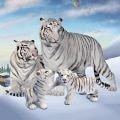 野生白虎家庭模拟Wild White Tiger Family Sim手游下载