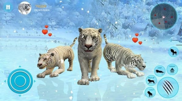 野生白虎家庭模拟Wild White Tiger Family Sim