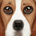 狗狗模拟器2UltDogSim游戏图标