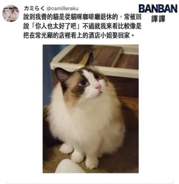 3DM轻松一刻第959期 把常光顾的小姐姐娶回家!