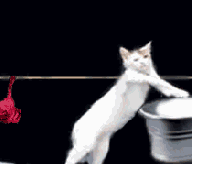 3DM轻松一刻第959期 把常光顾的小姐姐娶回家!