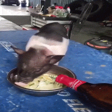 3DM轻松一刻第959期 把常光顾的小姐姐娶回家!